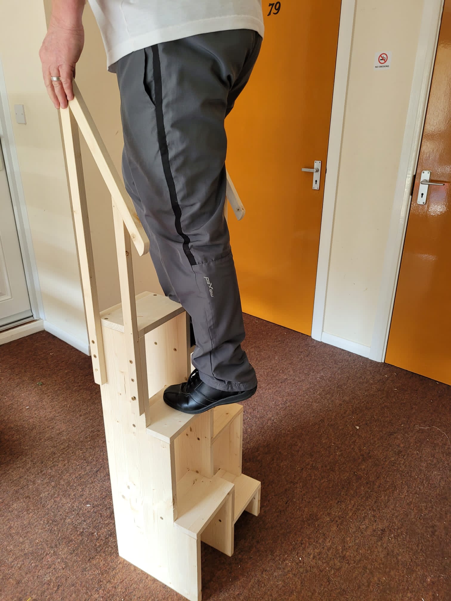 Step Up Easy tm stool Ladder- MPN BZ6
